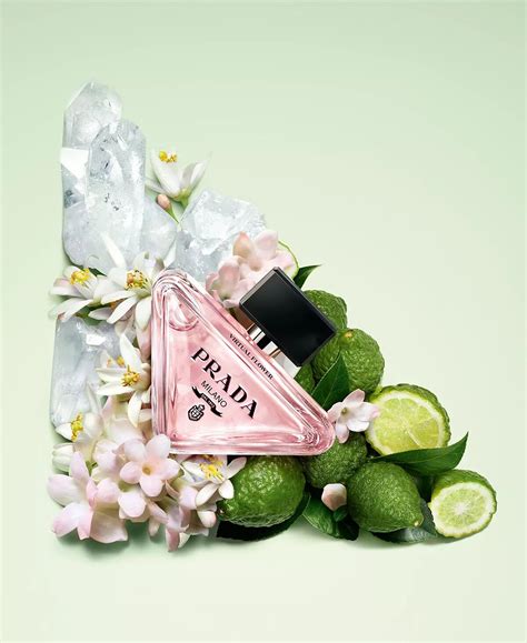 prada profumo verde|prada paradoxe virtual perfume.